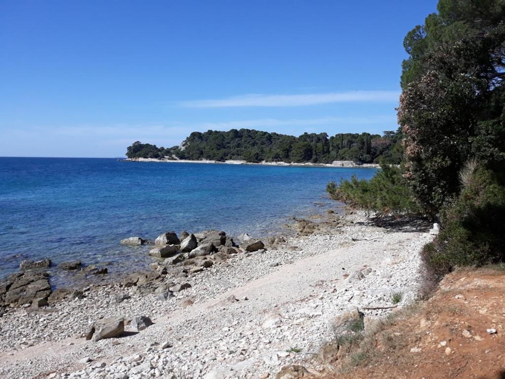 Seaview Apartment Rovinj Exterior photo